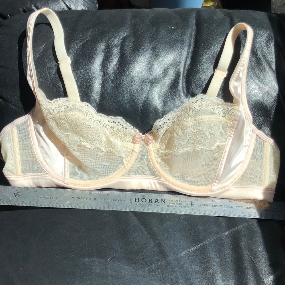 Super cute Bridgerton style bra!